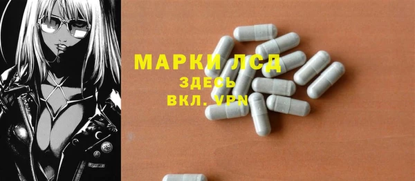 spice Надым