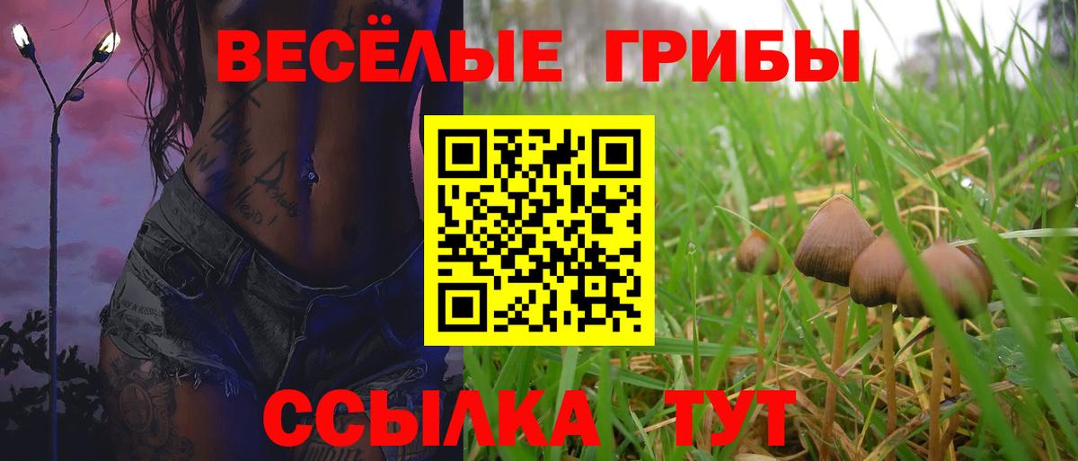 Галлюциногенные грибы мухоморы Серов